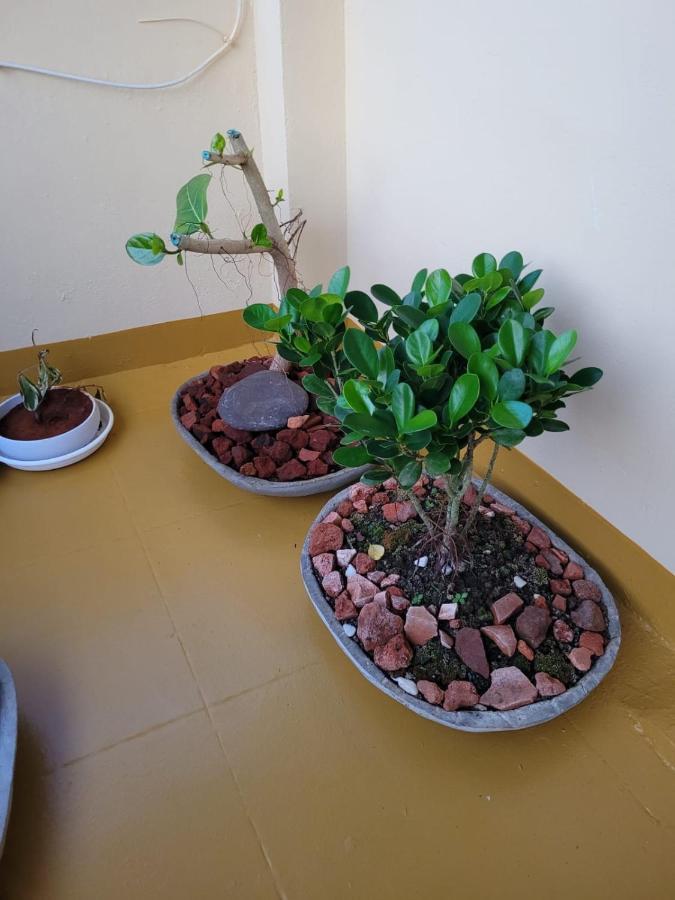 Sandy Beach Hotel Thiruvananthapuram Eksteriør bilde